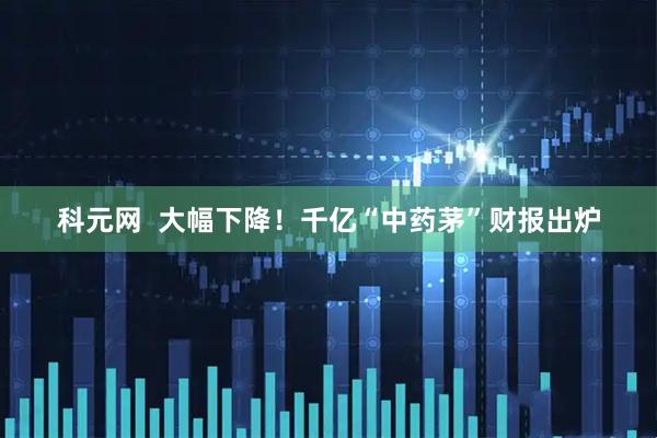 科元网  大幅下降！千亿“中药茅”财报出炉